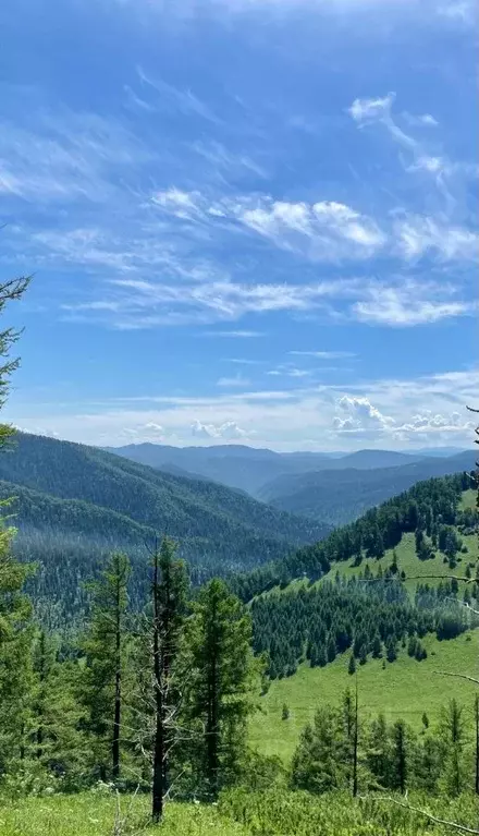 Участок в Алтай, Чемальский район, Элекмонарское с/пос  (1.0 сот.) - Фото 0