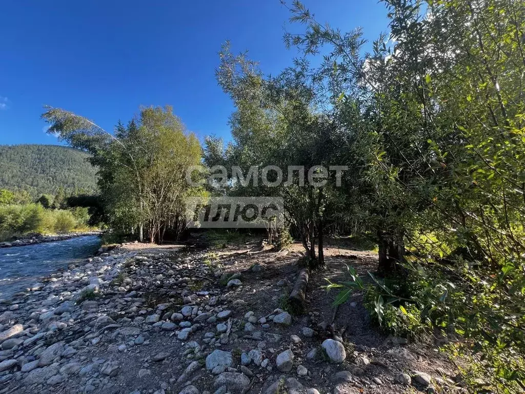 Участок в Алтай, Усть-Коксинский район, с. Мульта Школьная ул. (130.0 ... - Фото 2