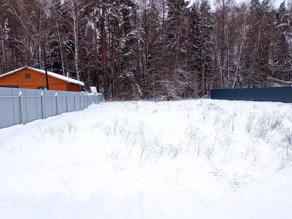 Участок в Московская область, Домодедово городской округ, д. Шишкино ... - Фото 2