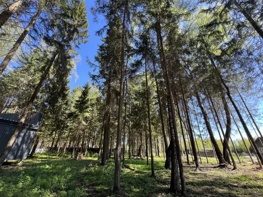 Участок в Московская область, Дмитровский городской округ, Удино-Парк ... - Фото 0