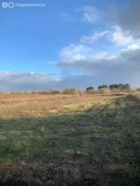 Участок в Амурская область, Благовещенский муниципальный округ, село ... - Фото 2