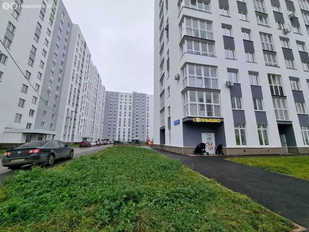 Офис (30 м) - Фото 2