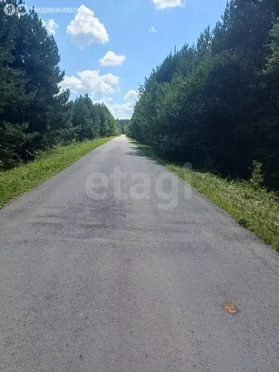 Участок в Чаплыгинский район, Буховской сельсовет, село Буховое ... - Фото 1