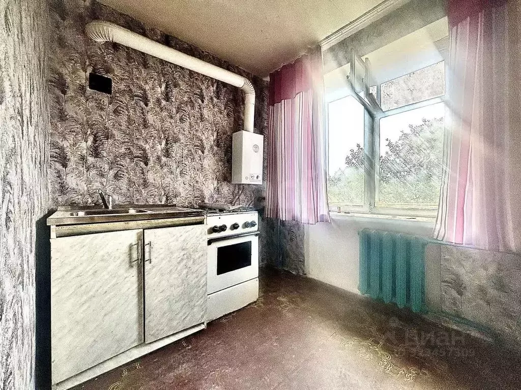 3-к кв. Воронежская область, Нижнедевицкий район, Вязноватовское ... - Фото 1