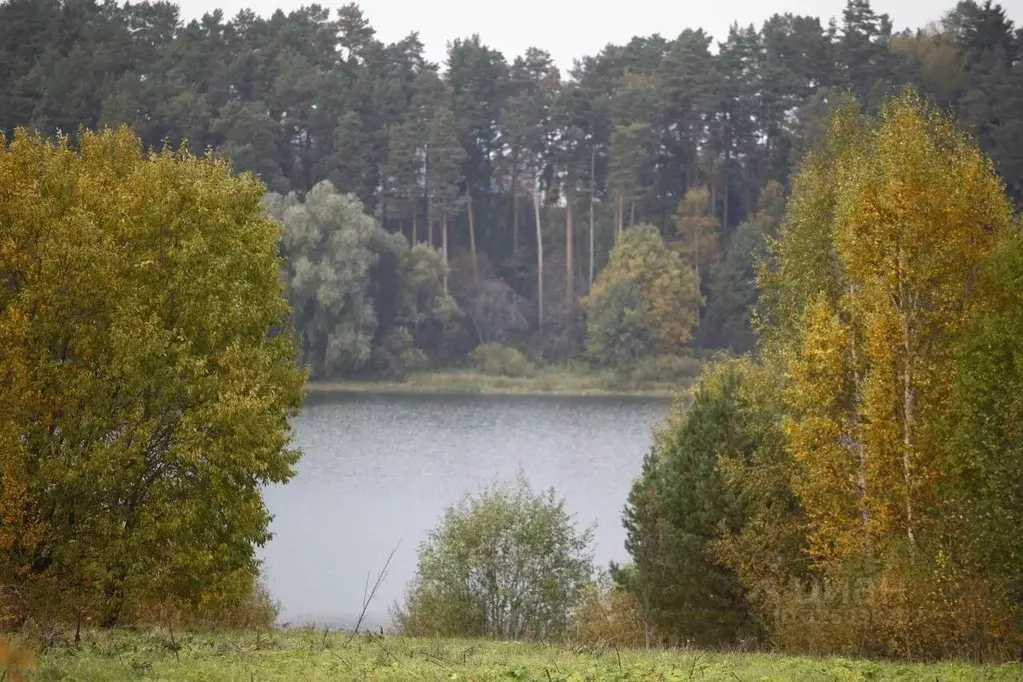 Участок в Московская область, Волоколамский муниципальный округ, КП ... - Фото 2