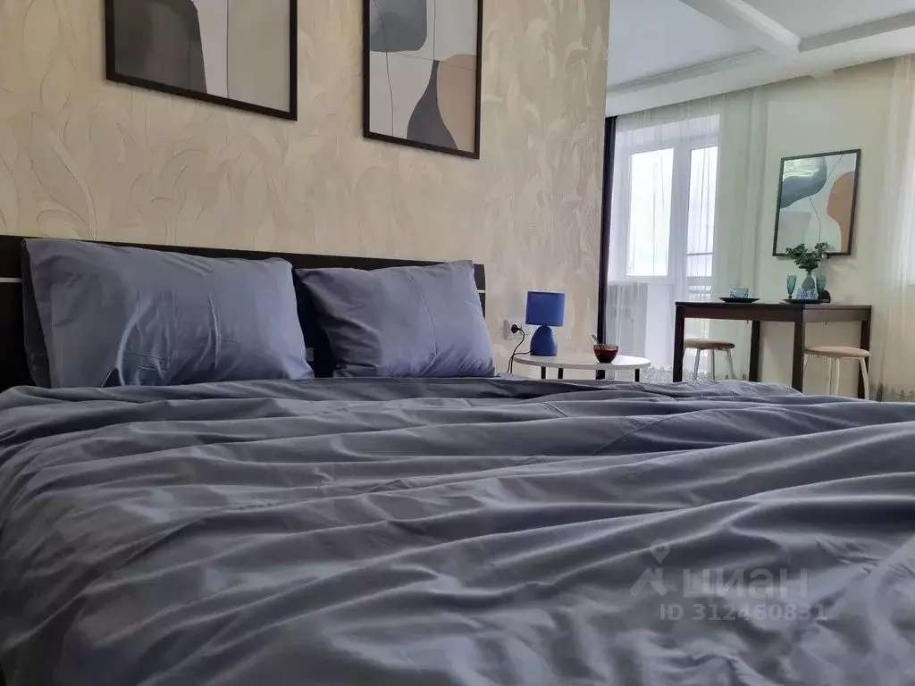 Студия Саратовская область, Саратов ул. Имени Ф.А. Блинова, 52 (39.0 ... - Фото 2