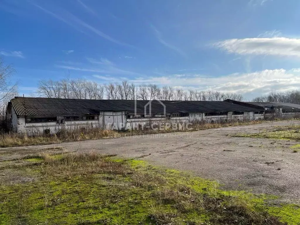 Склад в Тульская область, Веневский муниципальный округ, пос. ... - Фото 1