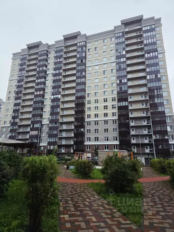 3-к кв. Санкт-Петербург ул. Федора Котанова, 3к2 (80.9 м) - Фото 2