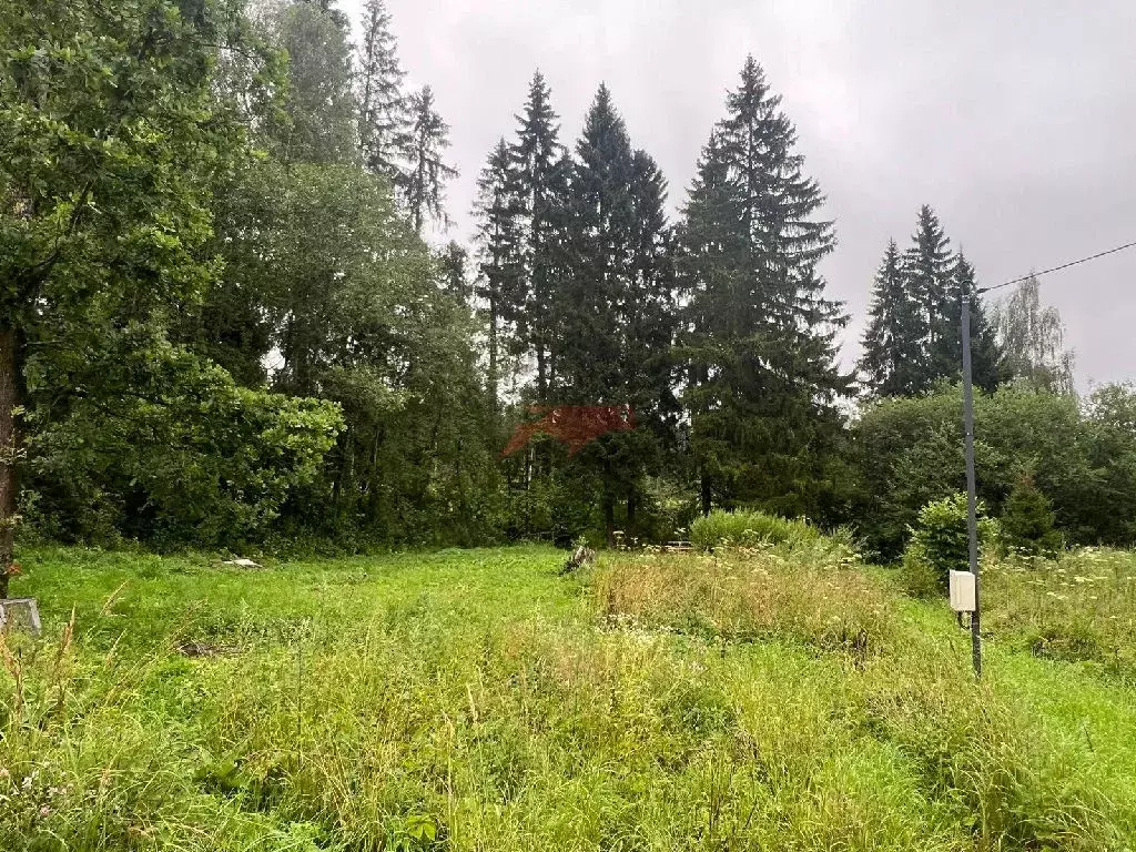 Продается участок в д. Опритово - Фото 2