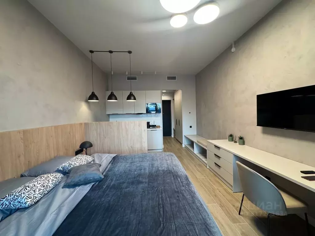 Студия Санкт-Петербург наб. Макарова, 58 (30.0 м) - Фото 1