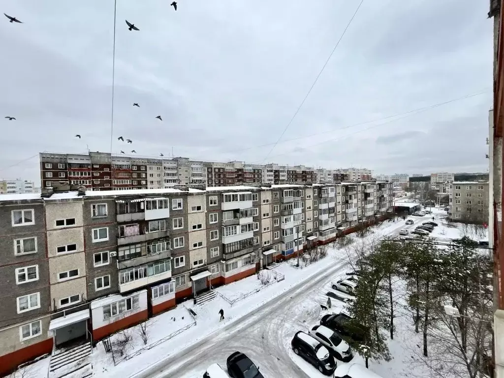 4-к кв. Пермский край, Пермь ул. Докучаева, 36 (76.0 м) - Фото 1