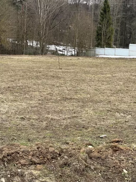 Участок в Московская область, Чехов муниципальный округ, д. Попово, ... - Фото 1