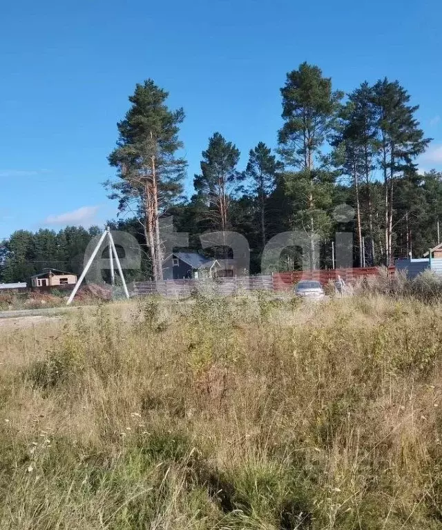 Участок в Томская область, Северск городской округ, пос. Самусь ул. ... - Фото 2