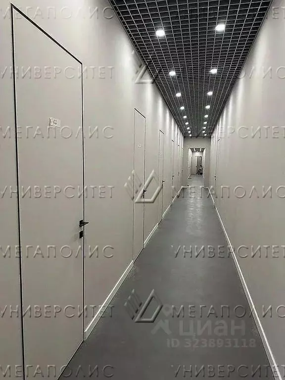 Офис в Московская область, Дедовск г. Истра муниципальный округ, ул. ... - Фото 2