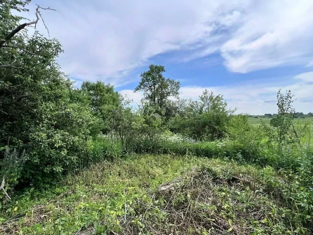 Участок в Калужская область, Дзержинский муниципальный округ, д. ... - Фото 2