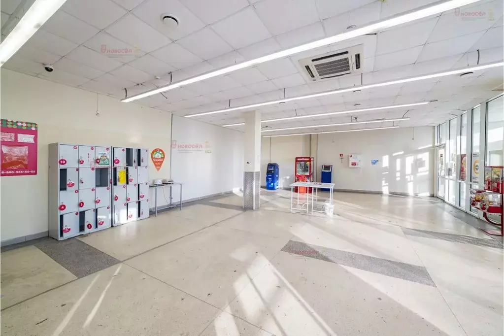 Торговая площадь в Свердловская область, Полевской ул. Вершинина, 35 ... - Фото 2