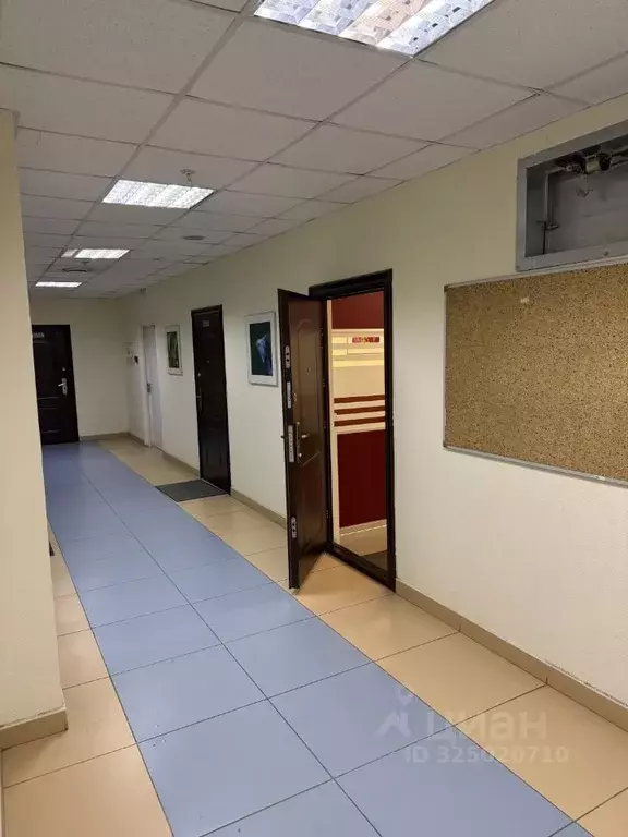 Офис в Свердловская область, Екатеринбург ул. Маяковского, 25А (119 м) - Фото 2