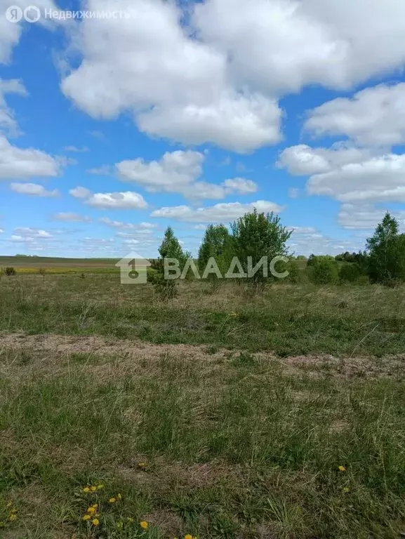 участок в ковровский район, муниципальное образование малыгинское, . - Фото 1