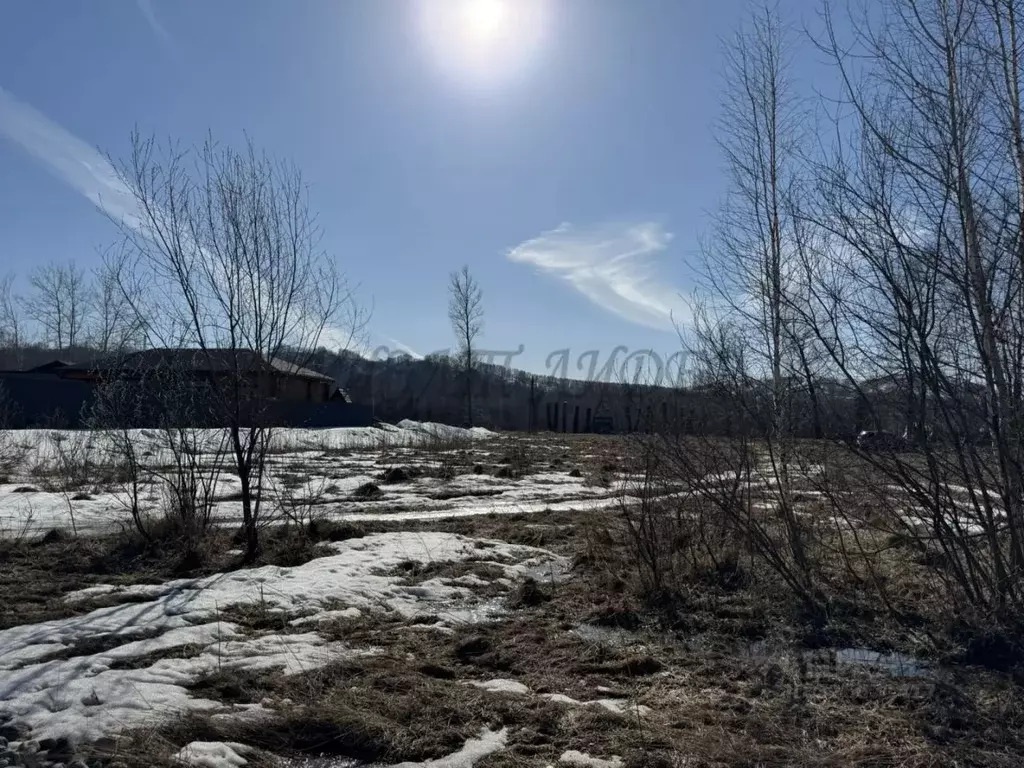 Участок в Алтай, Майминский район, пос. Дубровка ул. Сафронова (20.0 ... - Фото 1