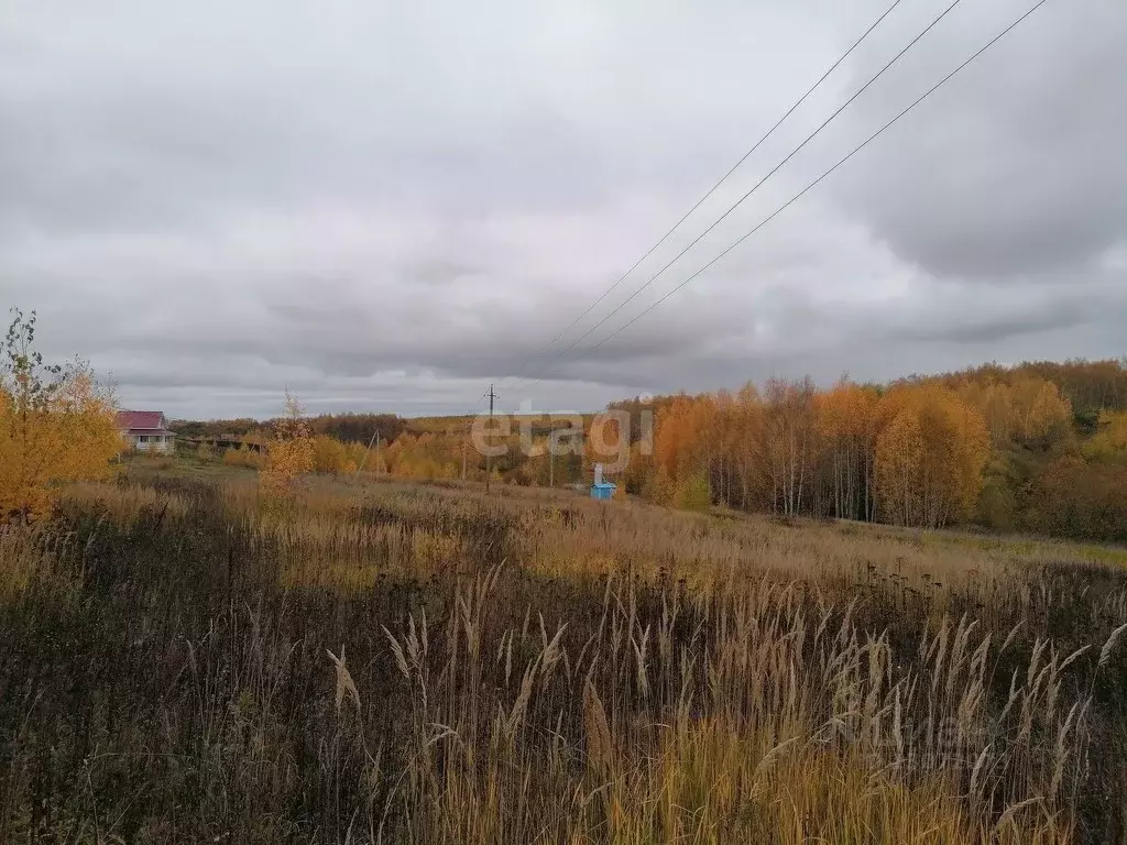 Участок в Нижегородская область, Богородский район, д. Подъяблонное ... - Фото 1