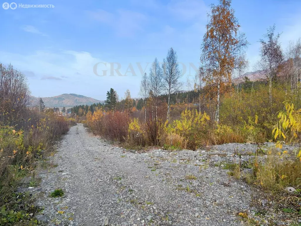 Участок в Майминский район, село Озёрное, Таёжная улица (10 м) - Фото 1