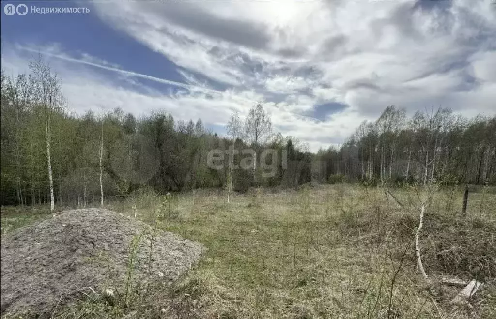 Участок в село Корнилово, Берёзовая улица (10 м) - Фото 1
