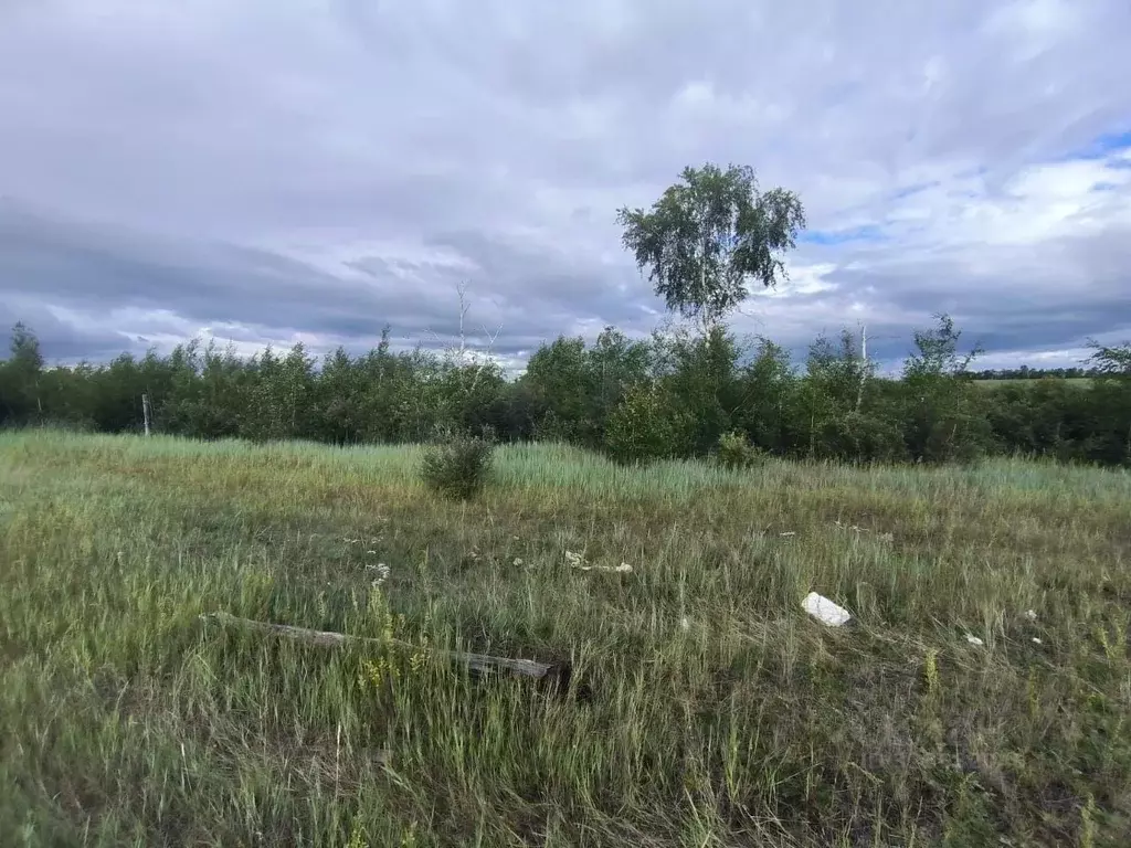 Участок в Саха (Якутия), Якутск ш. Покровское (10.0 сот.) - Фото 1