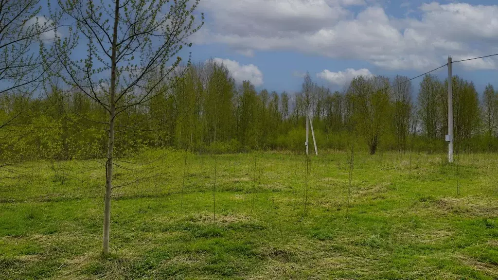 Участок в Ленинградская область, Всеволожский район, Романовское ... - Фото 1