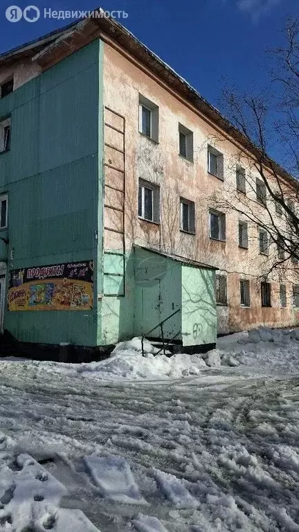 1-комнатная квартира: Елизово, Звёздная улица, 4 (30.4 м) - Фото 1