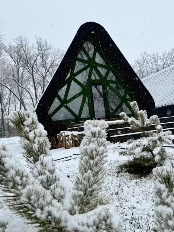 Дом в Саратовская область, Энгельс ул. Пятница, 11 (52 м) - Фото 1