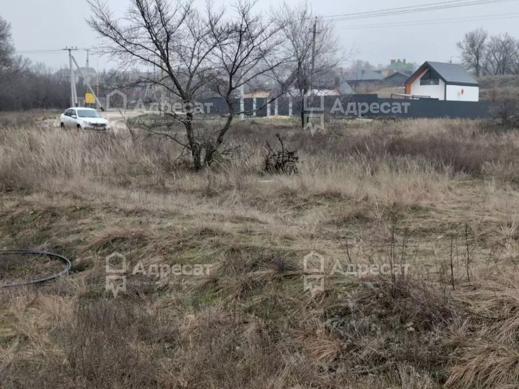Участок в Волгоградская область, Городищенский район, Царицынское ... - Фото 2
