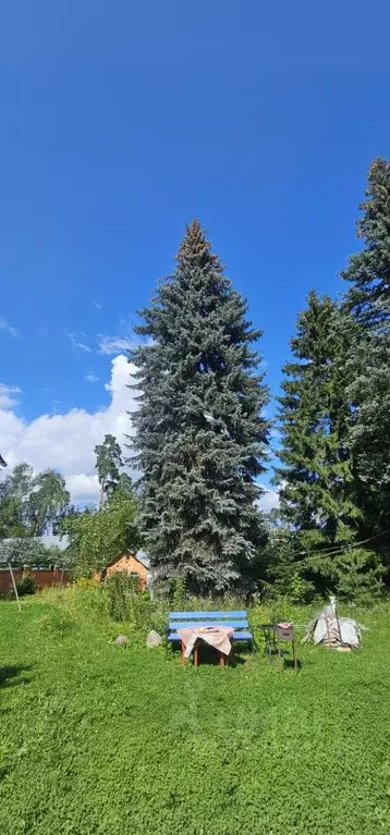 Участок в Московская область, Пушкино Мамонтовка мкр, ул. 1-я Полевая, ... - Фото 2