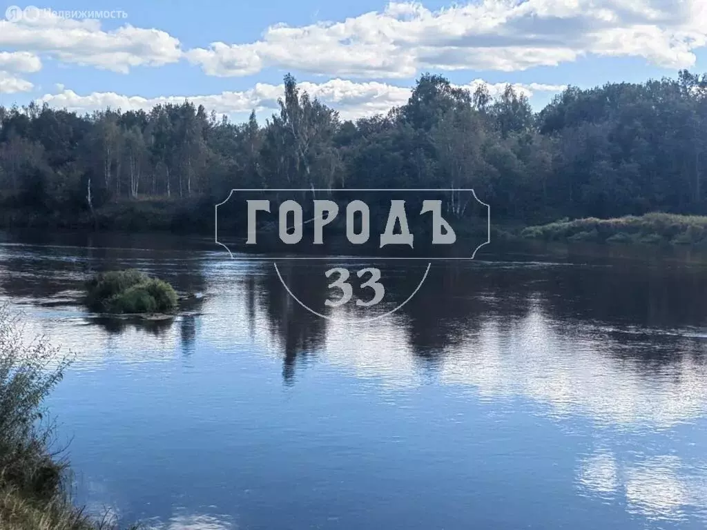 Участок в Владимирская область, Собинский муниципальный округ, деревня ... - Фото 1