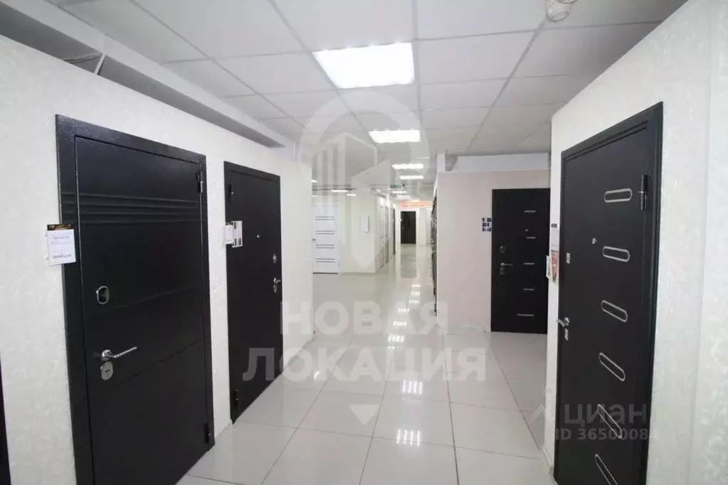 Торговая площадь в Омская область, Омск Октябрьская ул., 127 (364 м) - Фото 1