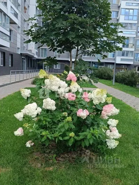 Студия Московская область, Одинцовский городской округ, с. Ромашково ... - Фото 1