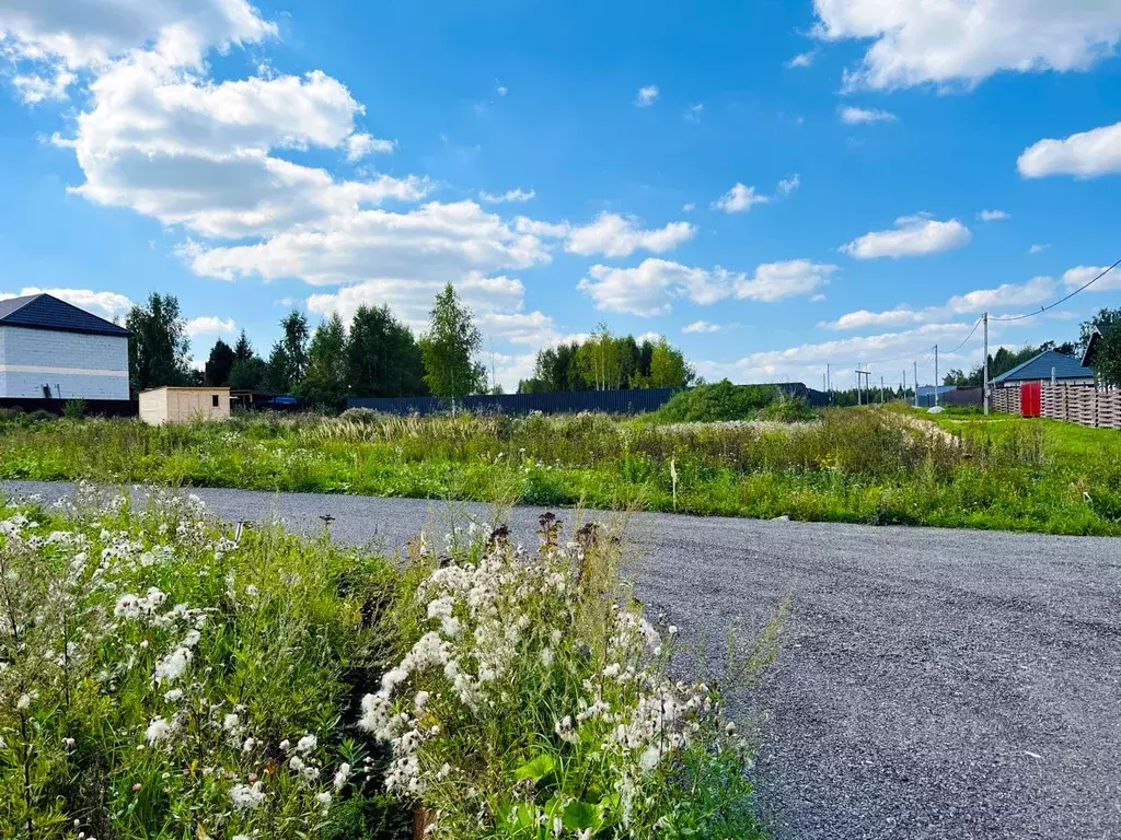 Участок в Московская область, Клин городской округ, Коськово кп  (6.02 ... - Фото 1