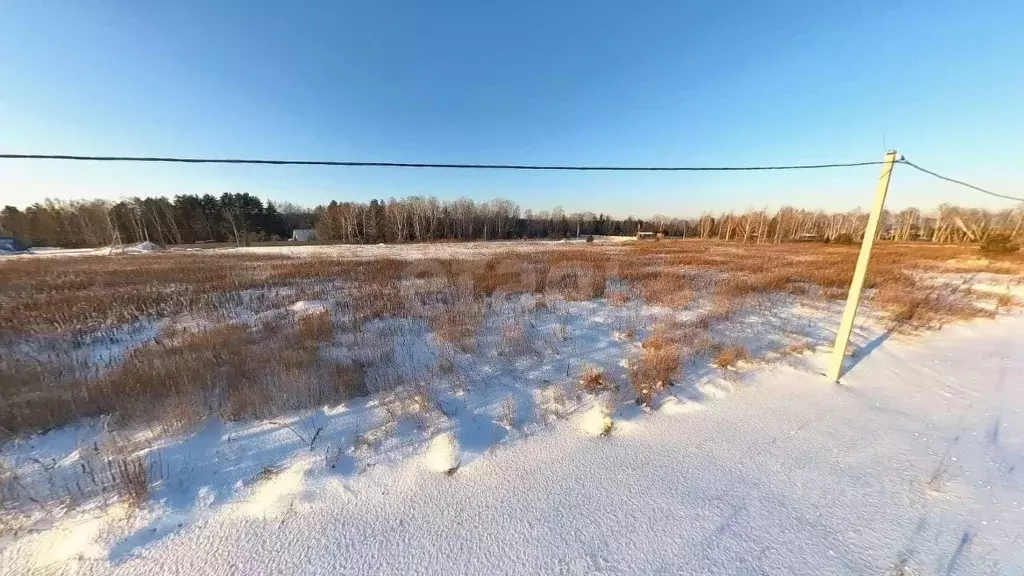 Участок в Тюменская область, Тюменский район, с. Каменка  (10.0 сот.) - Фото 1