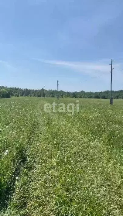 Участок в Пермский край, Краснокамский городской округ, пос. Ласьва  ... - Фото 0