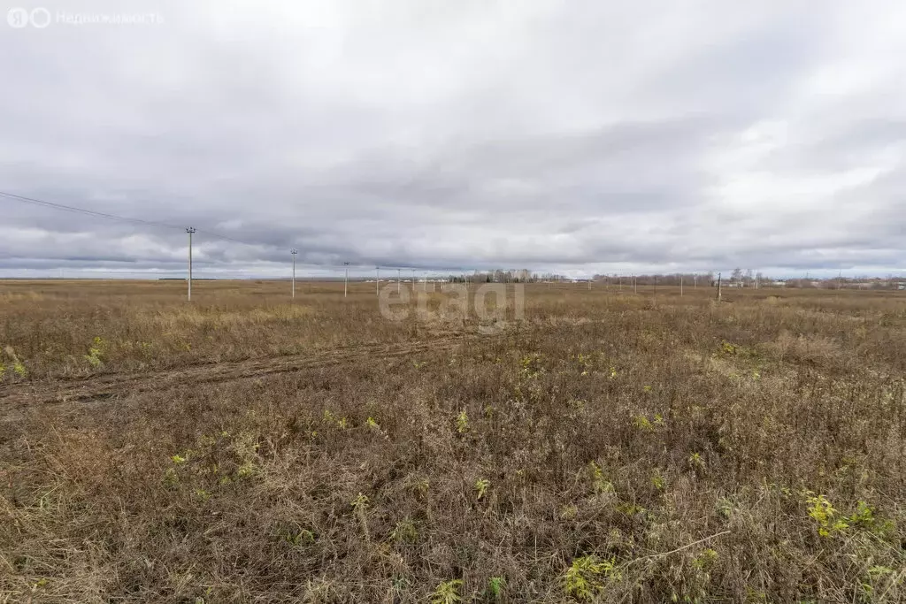 Участок в посёлок совхоза Татарстан, Заречная улица (10 м) - Фото 0