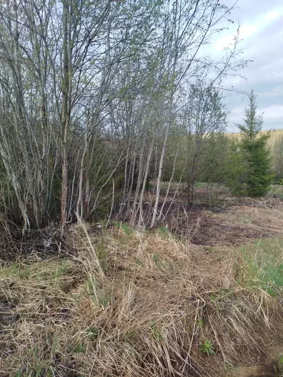 Участок в Московская область, Клин городской округ, д. Марино  (10.28 ... - Фото 0