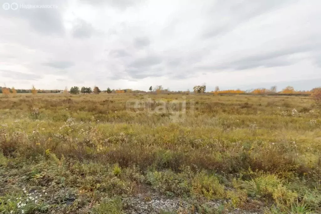 Участок в Тюменская область, Ишимский муниципальный округ, деревня ... - Фото 2