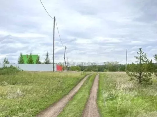 Участок в Свердловская область, Каменский городской округ, с. ... - Фото 1