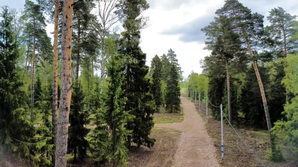 Участок в Московская область, Щелково городской округ, Снежная-4 тер. ... - Фото 2