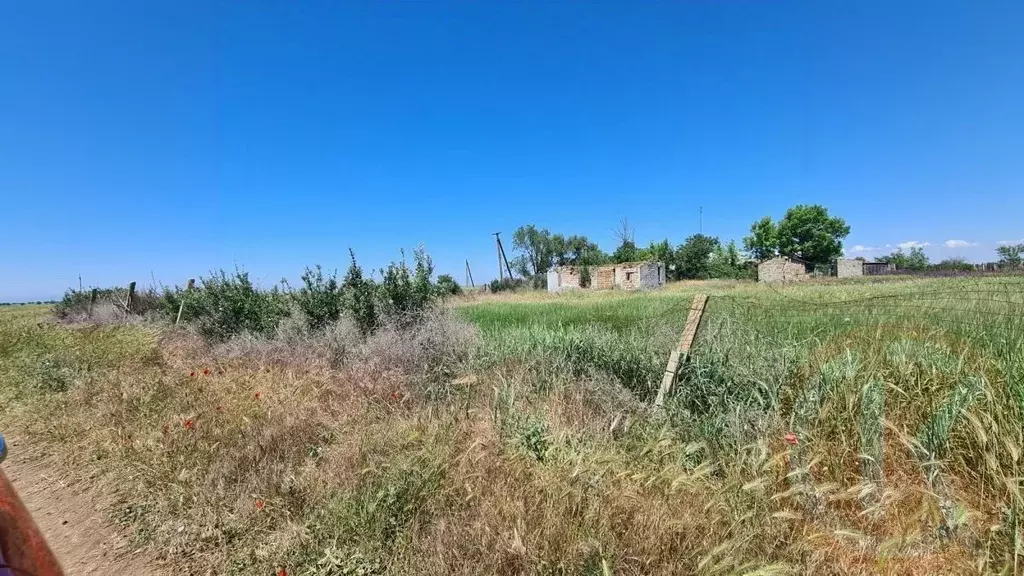 Участок в Крым, Сакский район, Воробьевское с/пос, с. Шишкино ул. ... - Фото 1