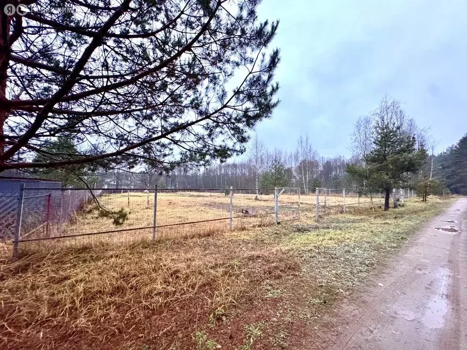 Участок в Московская область, Раменский муниципальный округ, село ... - Фото 2
