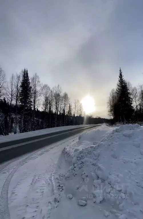 Участок в Кемеровская область, Таштагольский район, Шерегешское ... - Фото 0