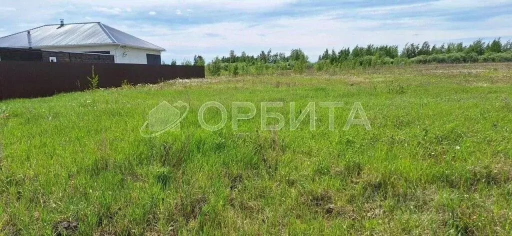 Участок в Тюменская область, Тюменский муниципальный округ, с. Чикча, ... - Фото 1