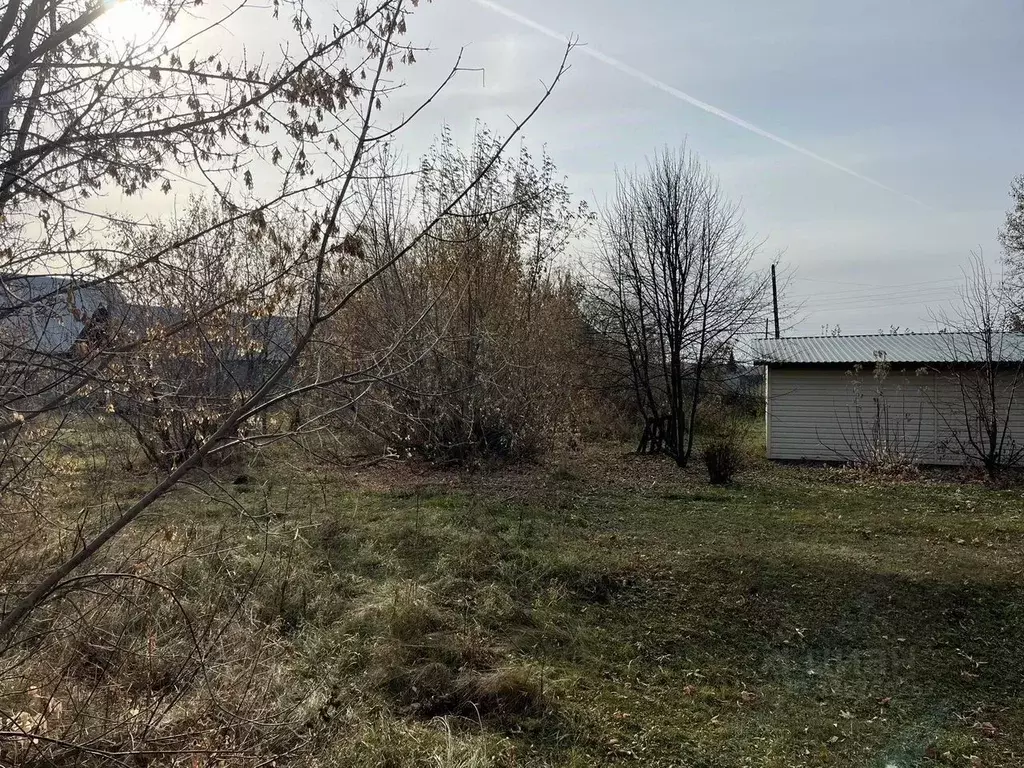 Участок в Тюменская область, Исетский муниципальный округ, с. Шорохово ... - Фото 2