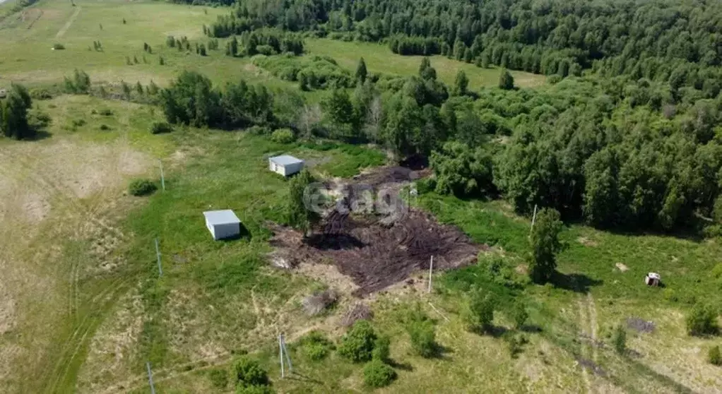 Участок в Тюменская область, Тюменский район, с. Червишево  (8.1 сот.) - Фото 0