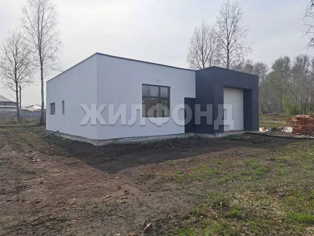 Участок в Новосибирская область, Новосибирский район, Станционный ... - Фото 0